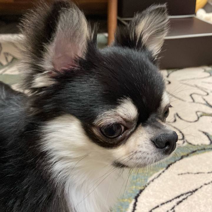 2956735a a8b8 40e3 8f97 8c2a31bd91de 1620048944085