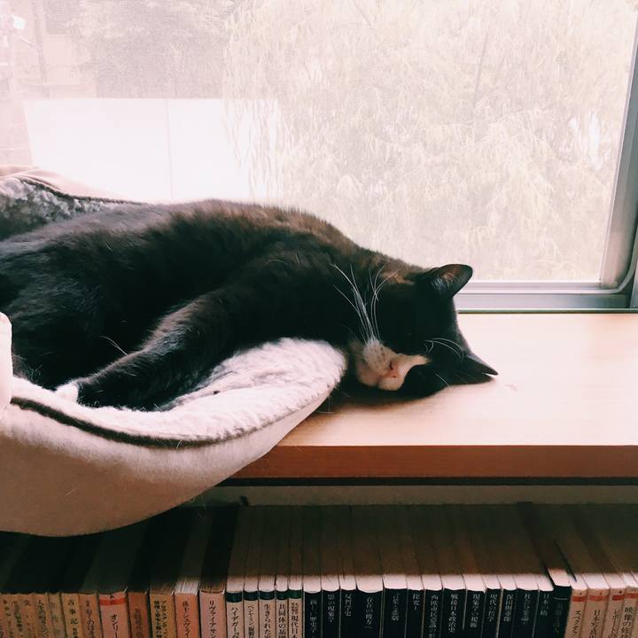 2956a839 6930 480a b83d 6adc754e6af5 1562801749872