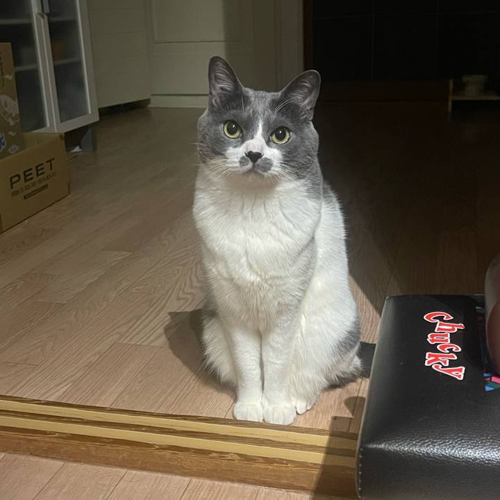 2956c243 5b8f 48bc 8e98 181b77e54321 1743690528575