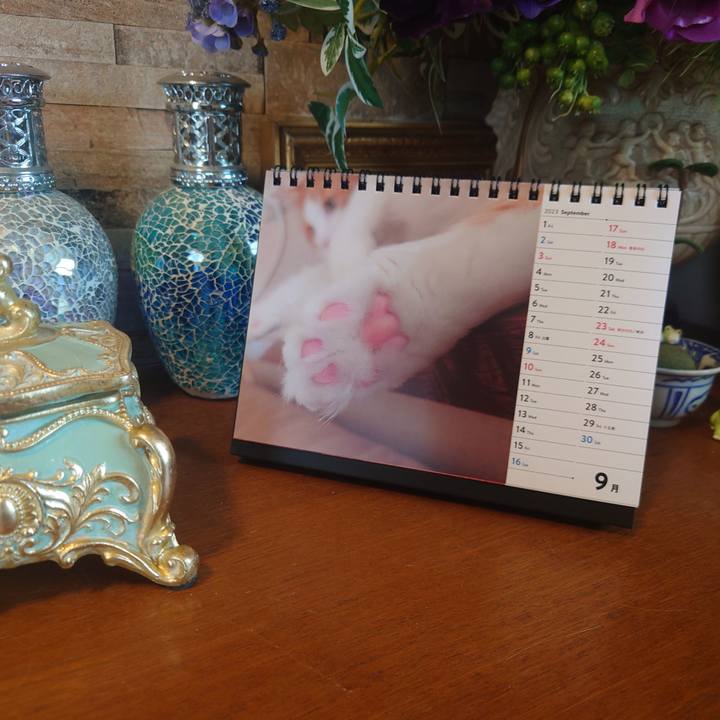 2956cf0e e82d 4fe4 8612 2c8bb7c54c21 1694229579911