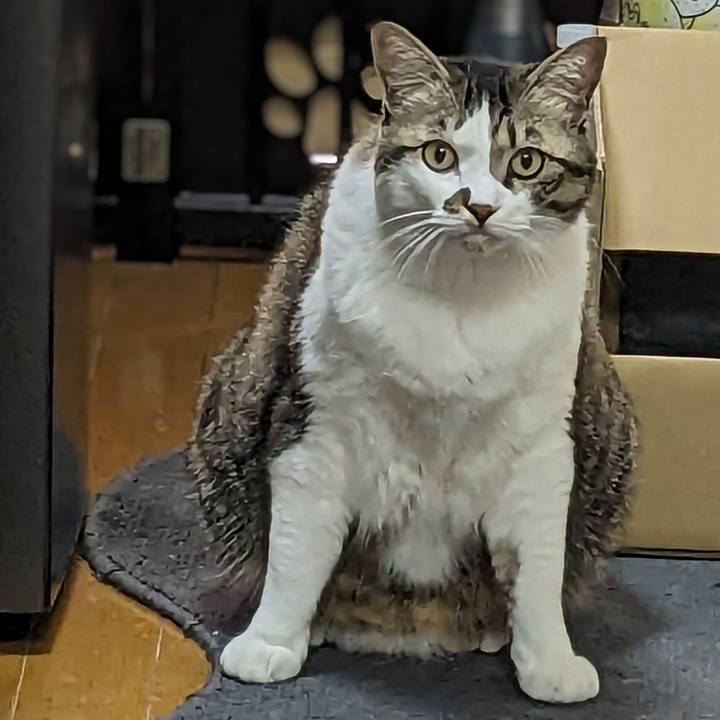 2956d961 3d1b 4eb7 bcf7 04766396a7fc 1707800301486