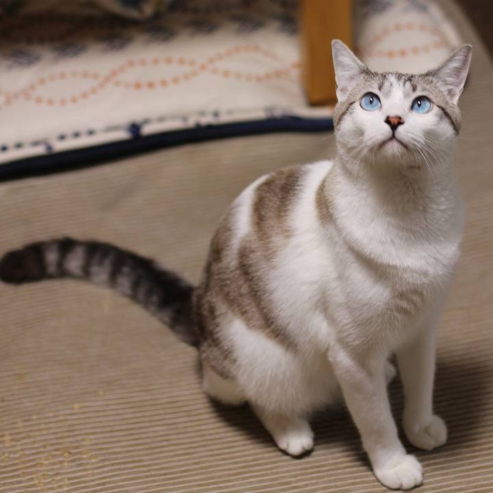 2956ebce ac33 49b4 90ac 01457adcdf33 1669766874644