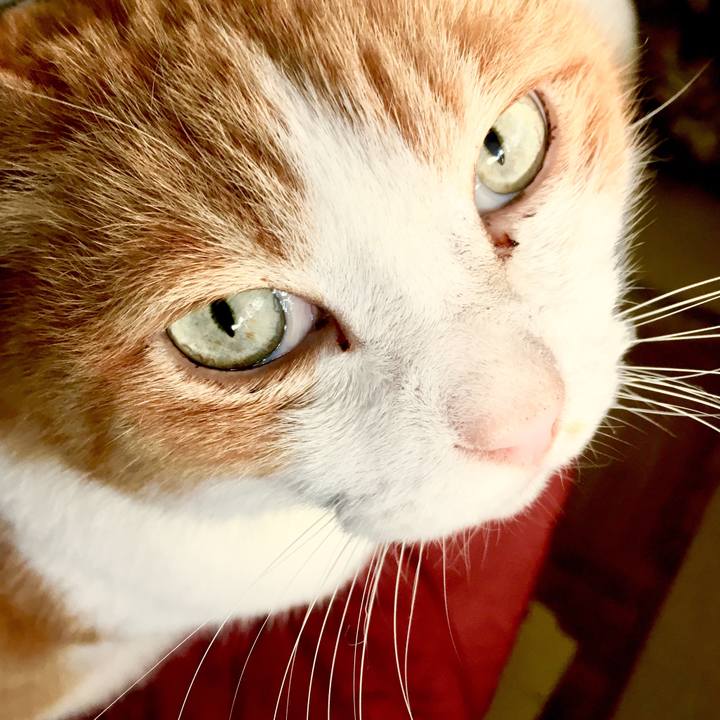 2956f6c4 9c2e 4003 9add 46d2f006eb1b 1555883001886