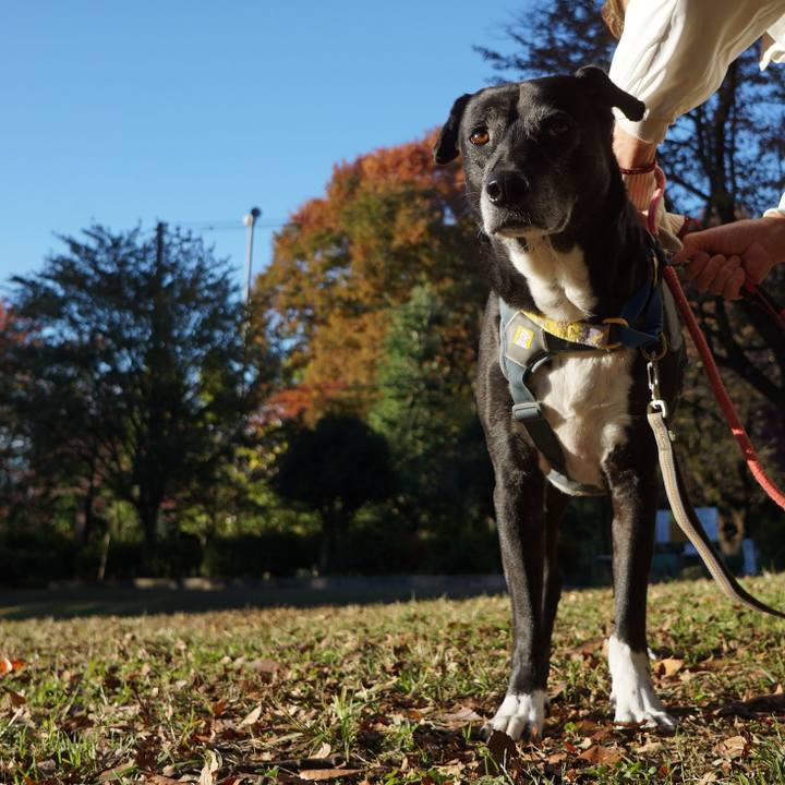 29571a7d 3b20 41fb a917 9afffdd5ea8d 1762906510498