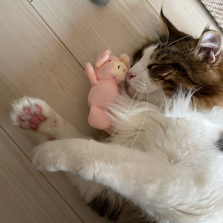 29571afd 99c6 4474 b52d 6be8701acd88 1649801558465