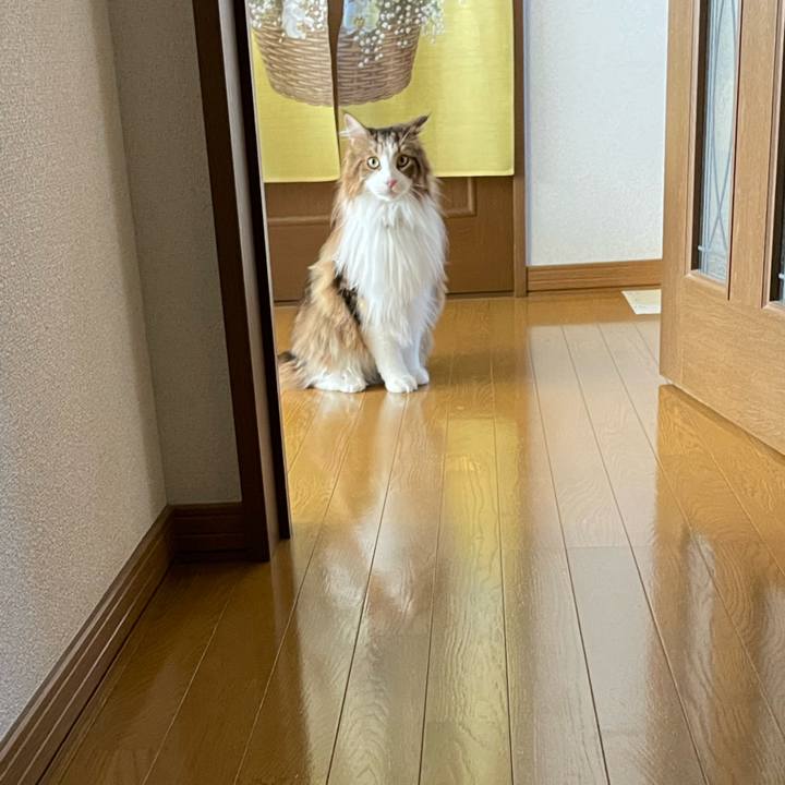 29572cdd e346 4d85 85de 9d80e44dc0fd 1678492840163