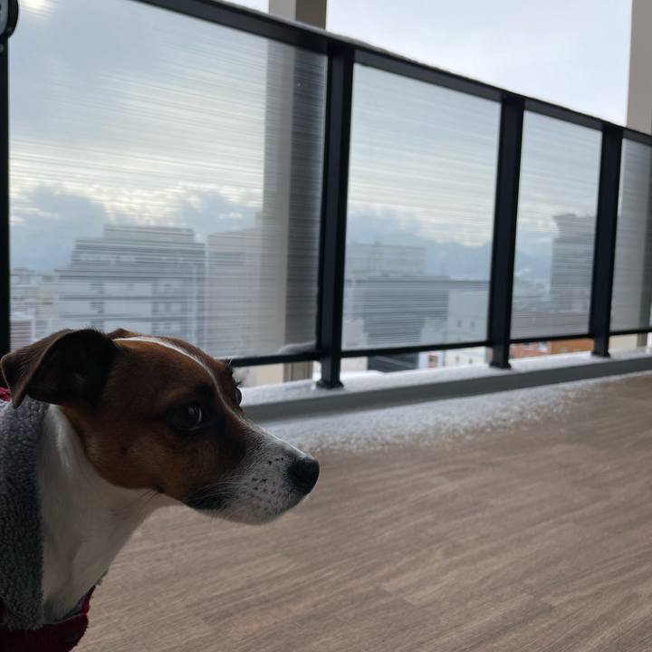 29574dd1 9476 4ead b579 a915a9830adf 1645400600380