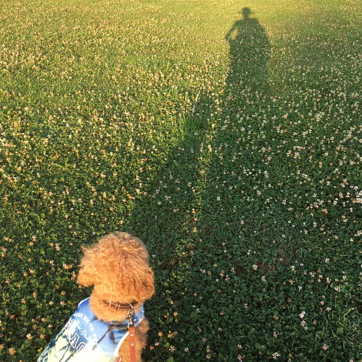 29575807 381a 411a 8aaf 1f4c73bc9488 1532035064910