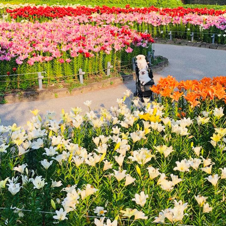 295765f7 6044 468c b28b 5537d0f78b2c 1623109757030