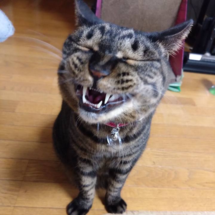 29578406 999e 47f6 8384 cb5fb295e307 1766201791479