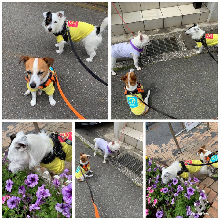 2957d1f3 10e4 48b4 85bf 0d4568865127 1561426092174