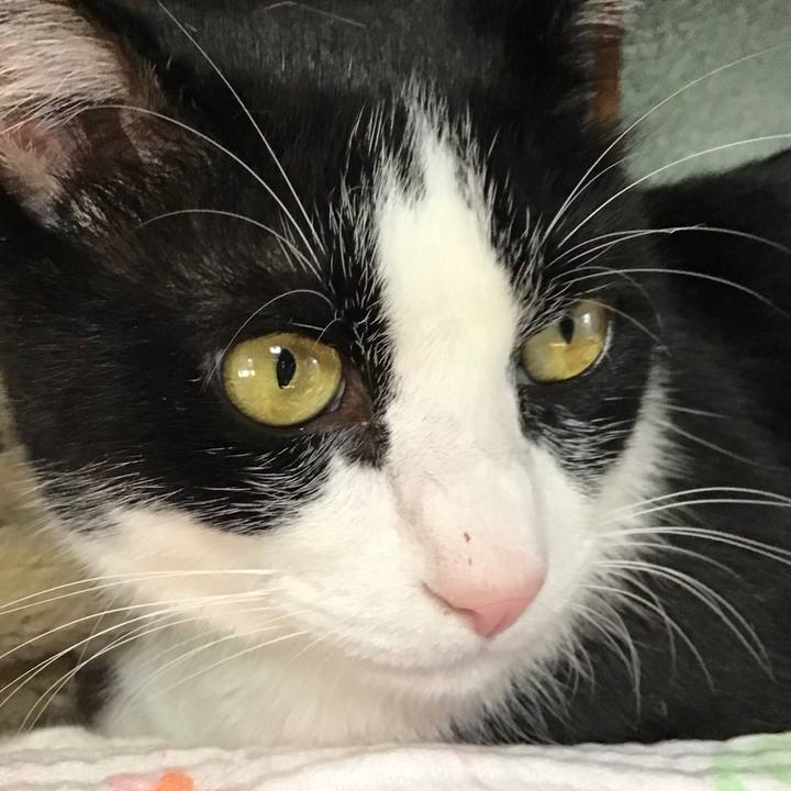 2957da4e 3e73 4601 9a5d 2b0ee69d0207 1726824394881