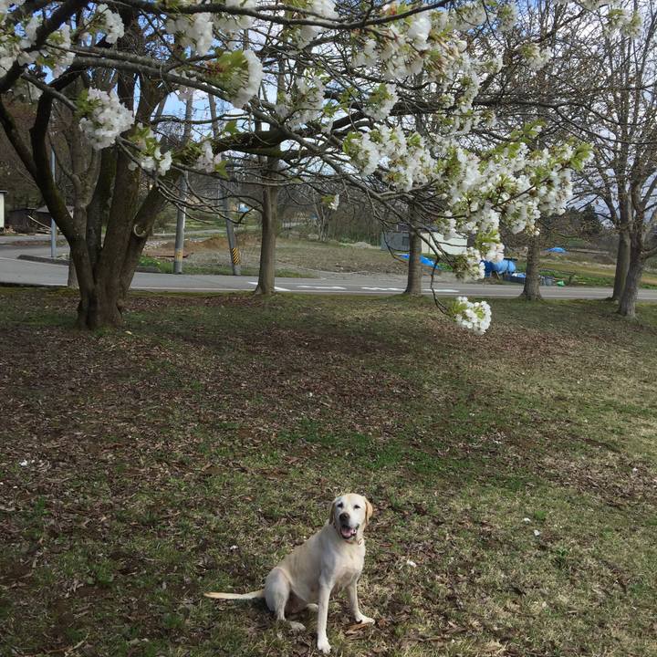 29580f8a 59a4 4fdf bc5b ef9b298f1e4b 1555824186912