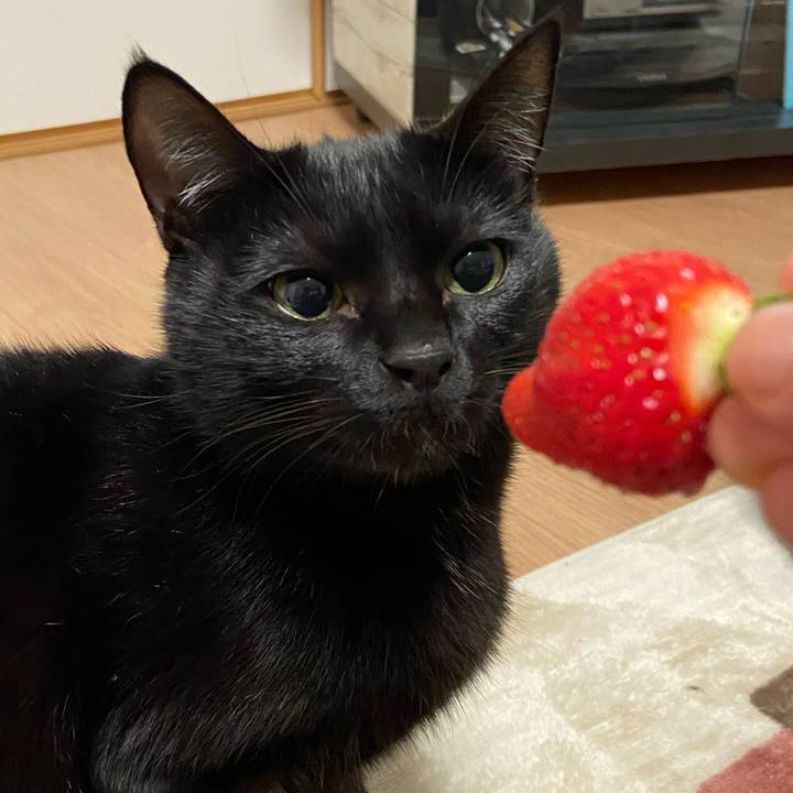 29581d98 02ca 42c3 aeab 7a38eb1fffd3 1643107820732