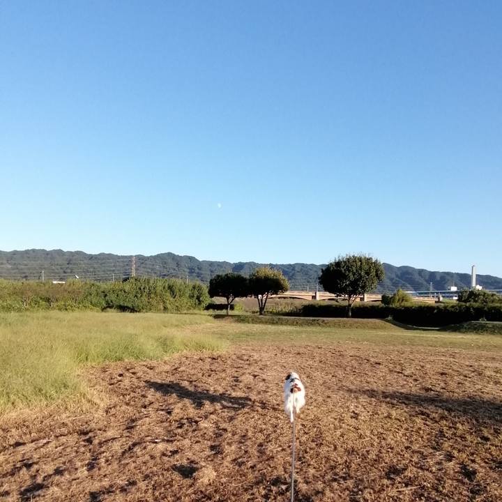 29583469 61d3 49bd 80c1 99da28ebcbaf 1570622168167