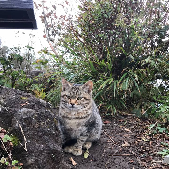 29583fbc 6882 46ec 8efe 7b2d8f9c48f0 1543831616626