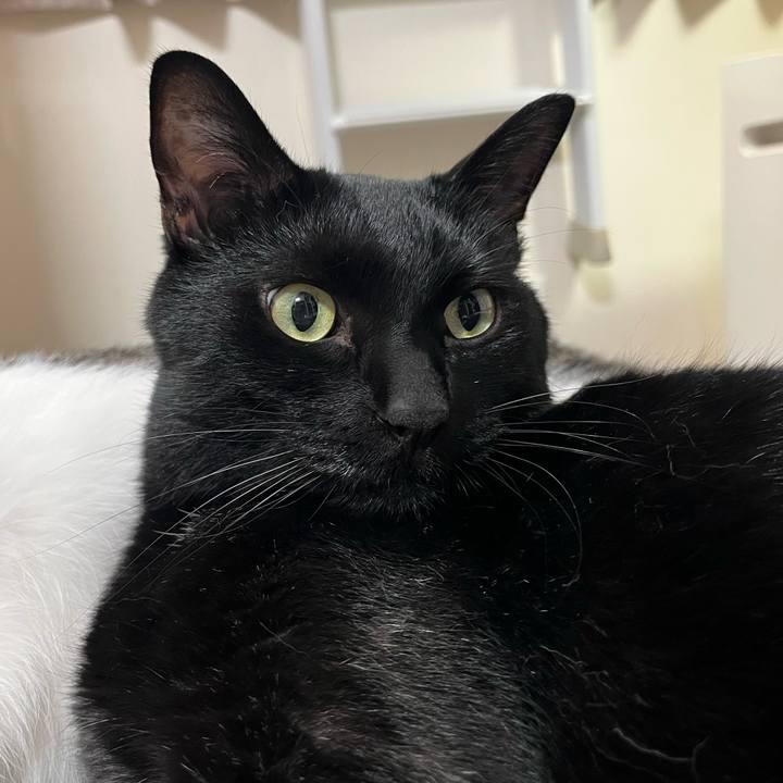 29587701 d627 4bbb 8b2b 76296cfcf722 1689680817832