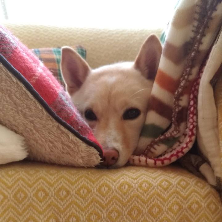 29589226 6906 412d bfdb 3b9465447e40 1550621496198