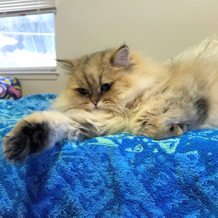 2958b229 2e83 4f98 8f4e 13634f75a022 1540528005836