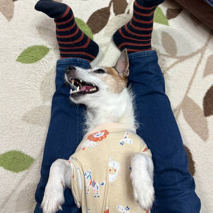 2958bd46 bfc8 451b bca7 bd5622bd0eb6 1756251143623