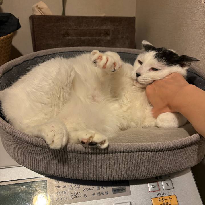 2958c2b1 15a3 4045 bf06 2c2308d5c6fb 1770908268225