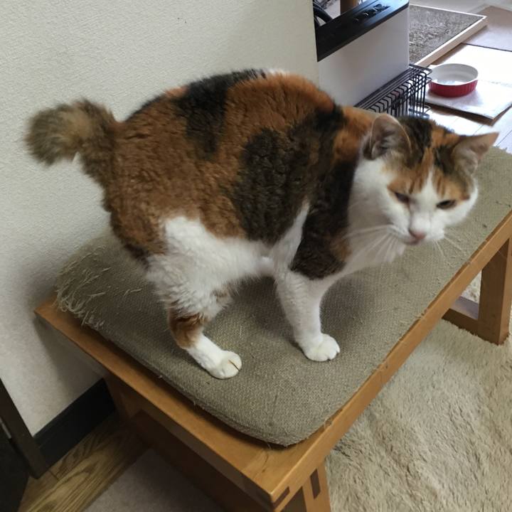 2959021f 21f9 4098 b783 2465aa8d5025 1521283179012