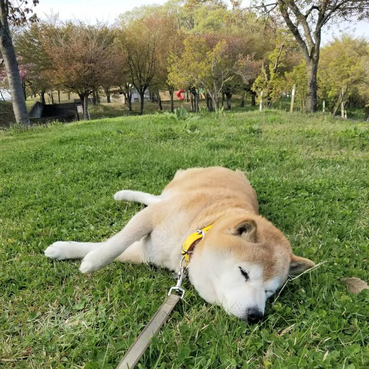 29591289 83d9 4487 aeba 08ec18191c3b 1682148834834