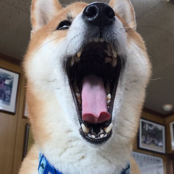 29591b7e a57f 4dfe a8d2 5bbfa00d4484 1586184909680