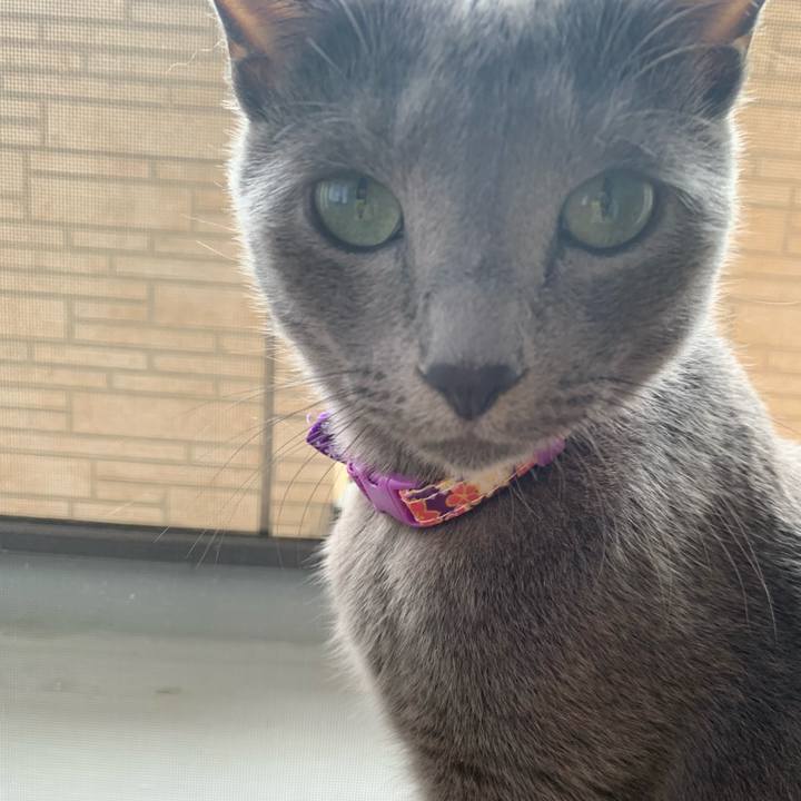 295970e2 d4ac 4793 9bd9 fd9df5d832a1 1630803315664