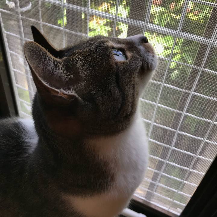 2959743e fc5d 4647 9148 aa254624dedd 1527557286601