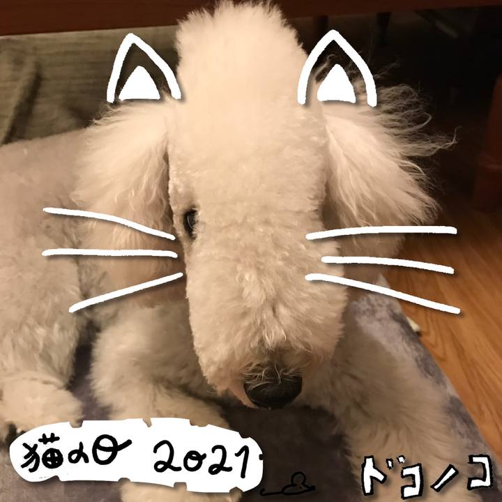 2959819a 724a 41b1 a4e1 a61f574a53ca 1613968848117