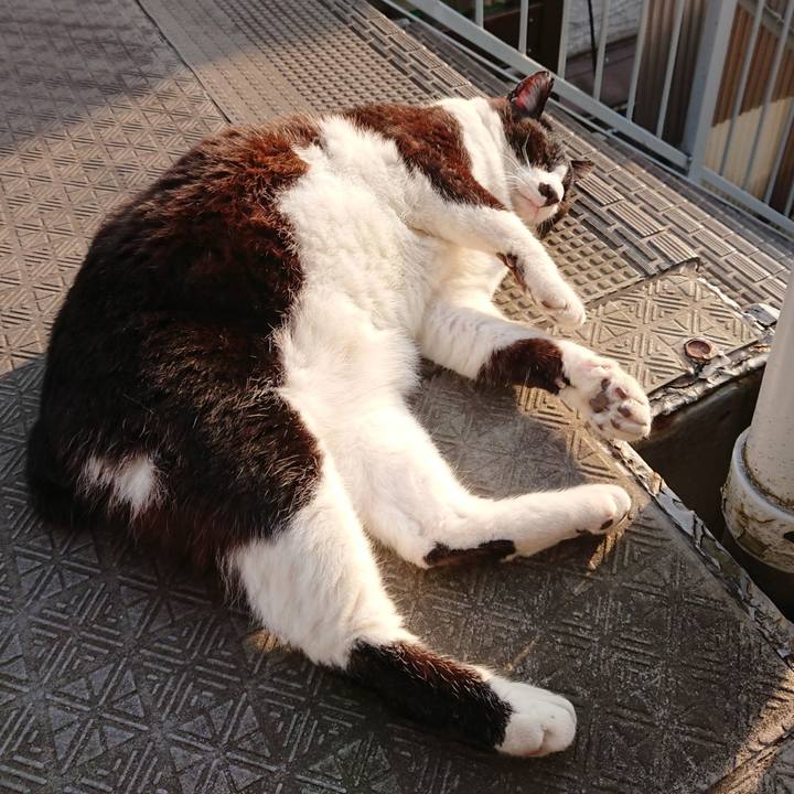 2959e449 1260 4481 830d 8070138a7ed3 1588468128374