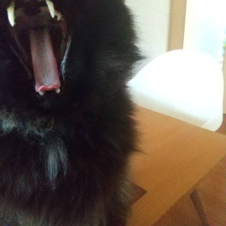 2959e7b0 5cb3 4553 b978 5b677ae4e3f5 1683620108573