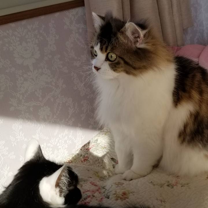 295a5050 c431 40c7 ab03 26c5d331c278 1550455139380