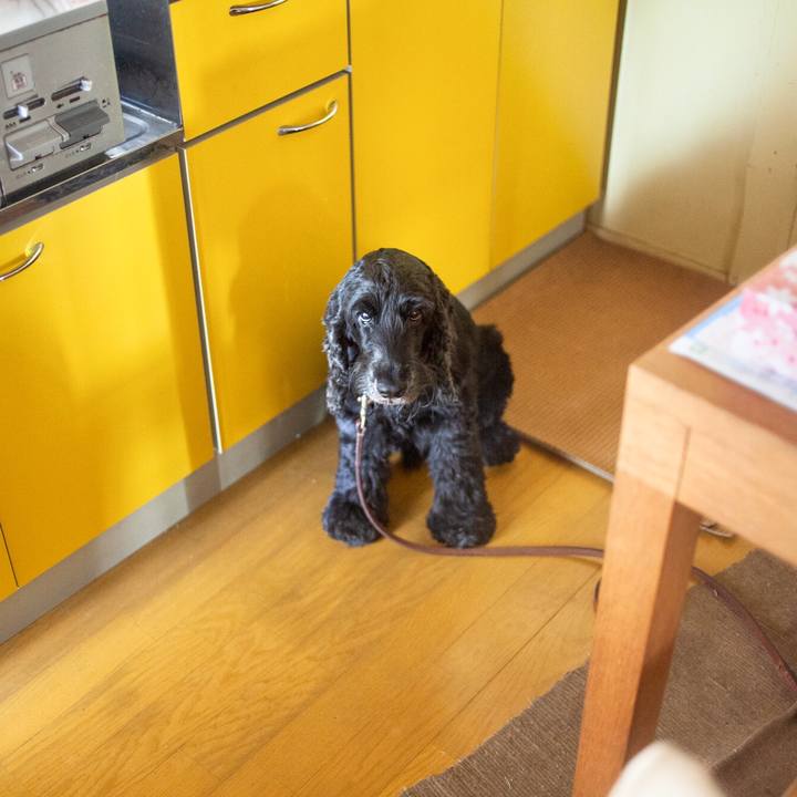 295a6b80 1e46 49d1 80e7 12fc845f1a27 1570177016752