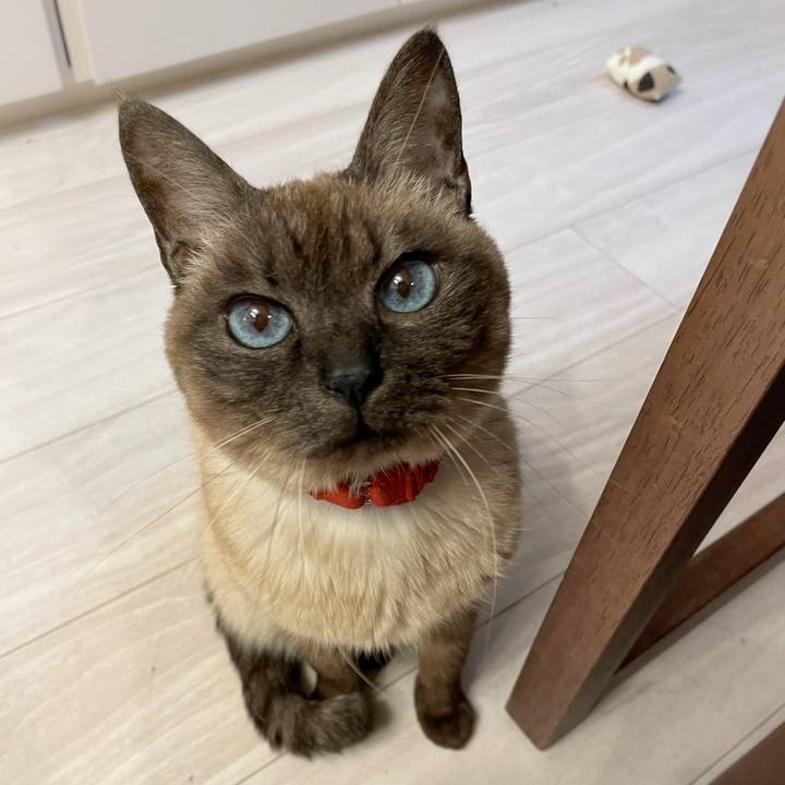 295a8bc1 5c83 4be1 9681 664639419b45 1772667291842