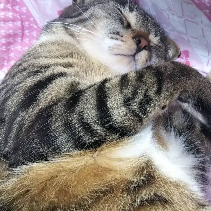 295a9e1c 531e 441f 9646 bf8972f945f3 1616245887614