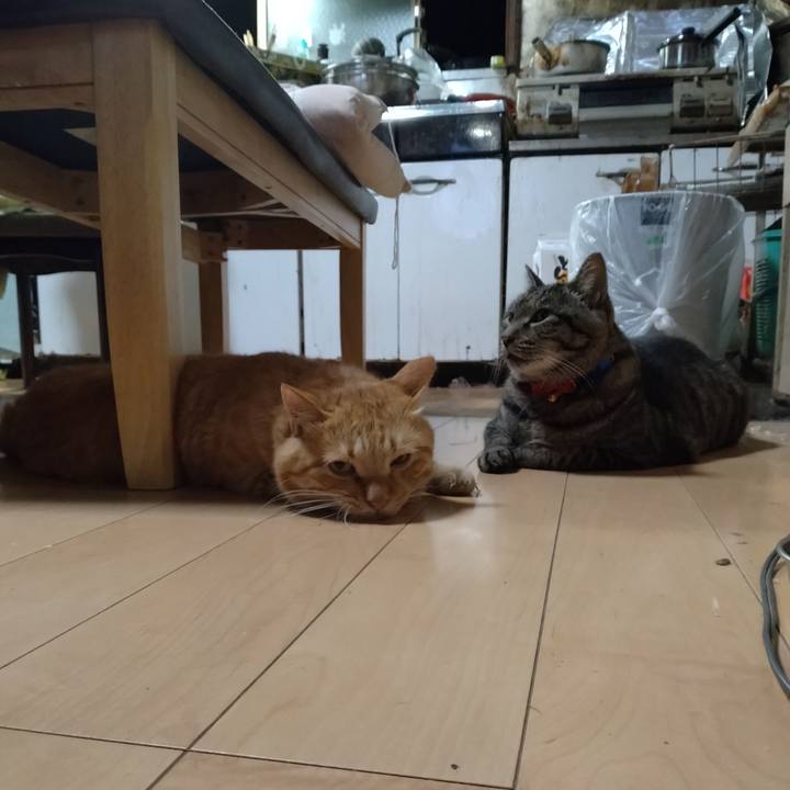 295ac088 e96a 4ff6 92e5 a5d209265379 1691928790622