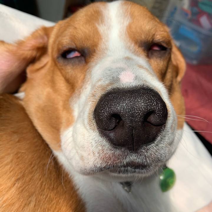 295ae0da f562 4a91 af47 969e49a6bf2e 1550896653495