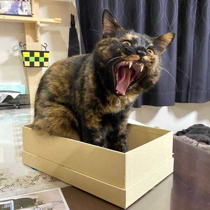 295b0710 c42d 41c7 9b46 5b5a1c4c7c52 1637587106123