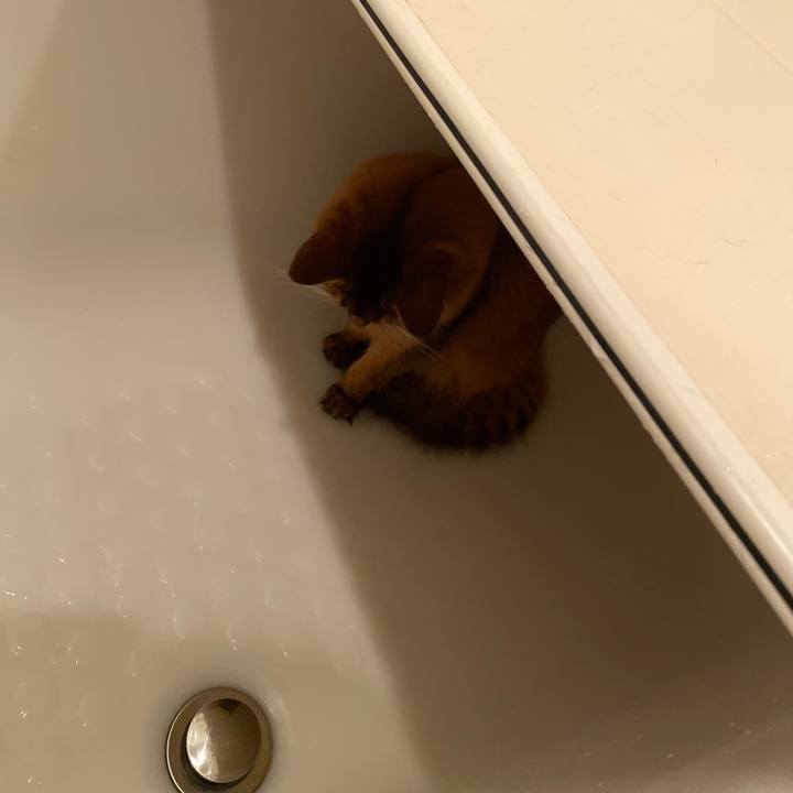 295b23da f320 4423 9e83 a46823774213 1704037686014