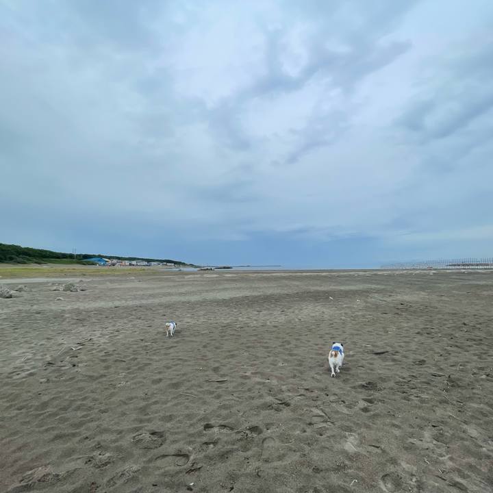 295b2427 bc20 4728 9faf 8d9fde0db6cf 1724887131556