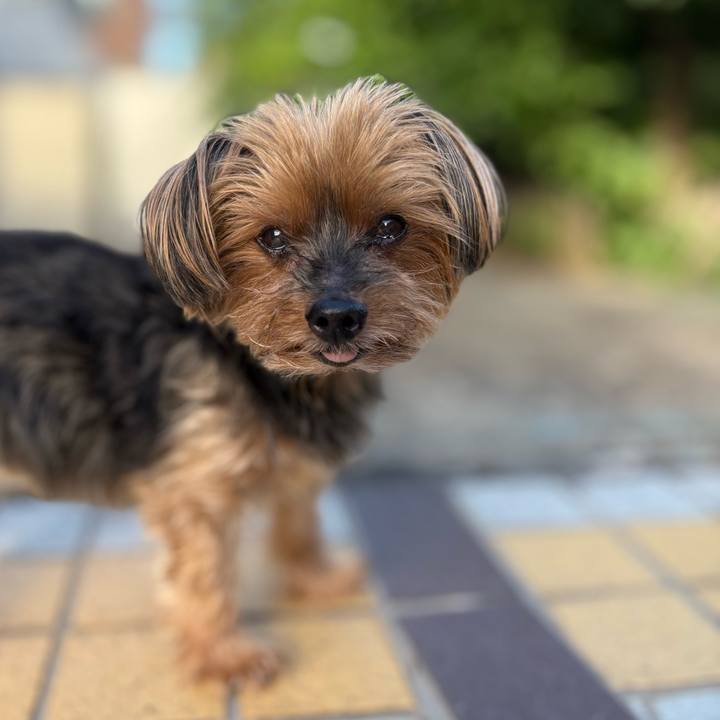 295b65d2 46fc 41ee 8630 9f9d6ca8d118 1750034528673