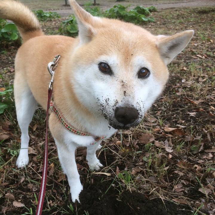 295babb8 dc3e 4230 872e 4b4bbc4db336 1508042338990