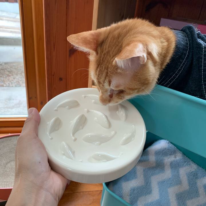 295c1a4c 55f4 4bd6 8da5 ec8fa0ea1c70 1624152165403