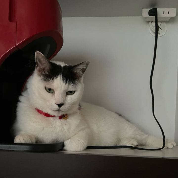 295c3b3e 7ac6 4e36 a24d 0ed7fb2cdd8a 1619341561536