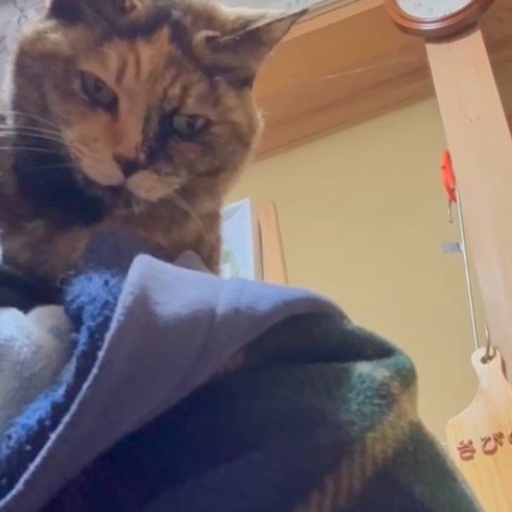 295c4941 b075 4ab0 969d 0a4fd9be145f 1771598361622