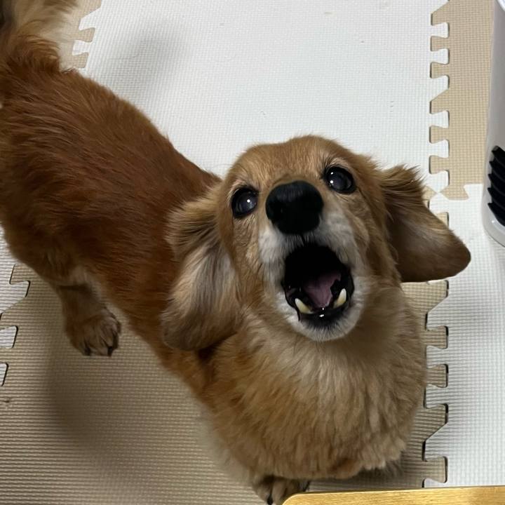 295c4f9d bcd4 4d89 9373 d6272c0229ec 1645795755069