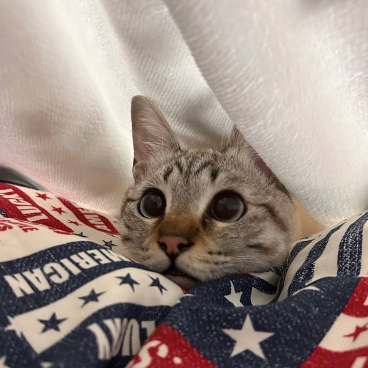 295c59d5 797a 4b71 a3dd 2ce3507e2e9d 1767881277774