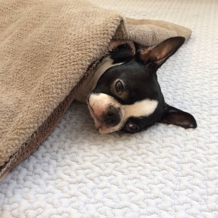 295c9831 1227 484a a671 ecd410aa8053 1509253553753